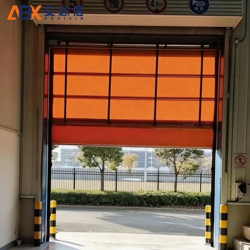 阿里地区背带门